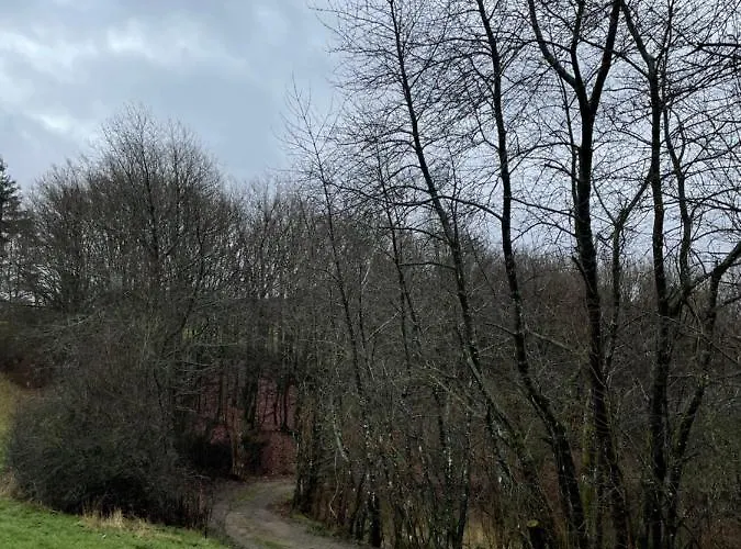 Holiday home Olaf & Olga Buchali Gbr *